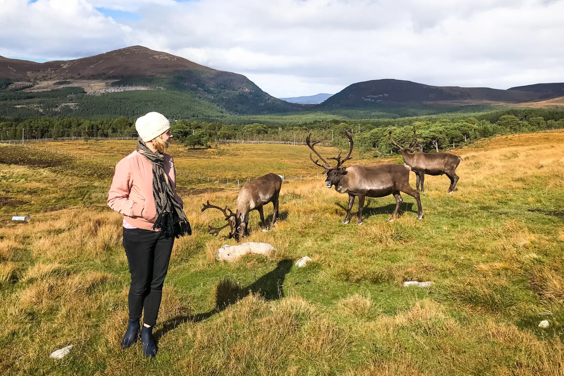 Edinburgh, Scotland Great Destination for Tourists A-Wild-Adventure-Edinburgh-Scotland