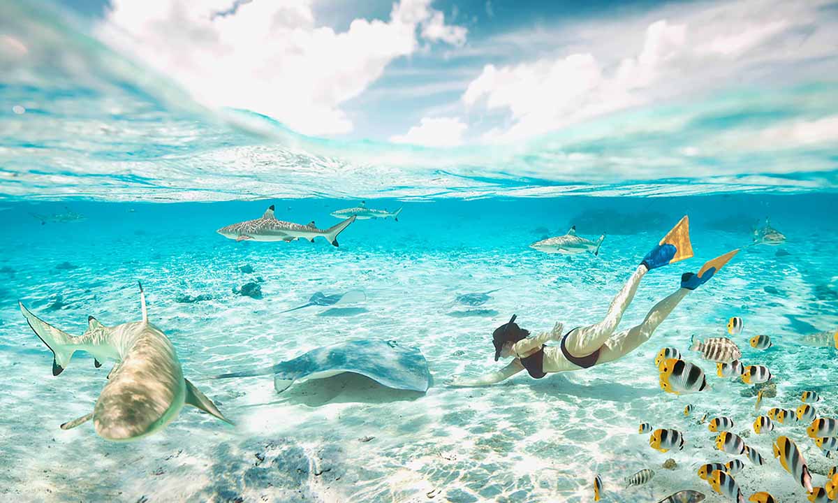 Bora-Bora-Water-Activities