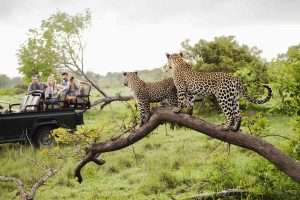 Kruger-National-Park-South-Africa