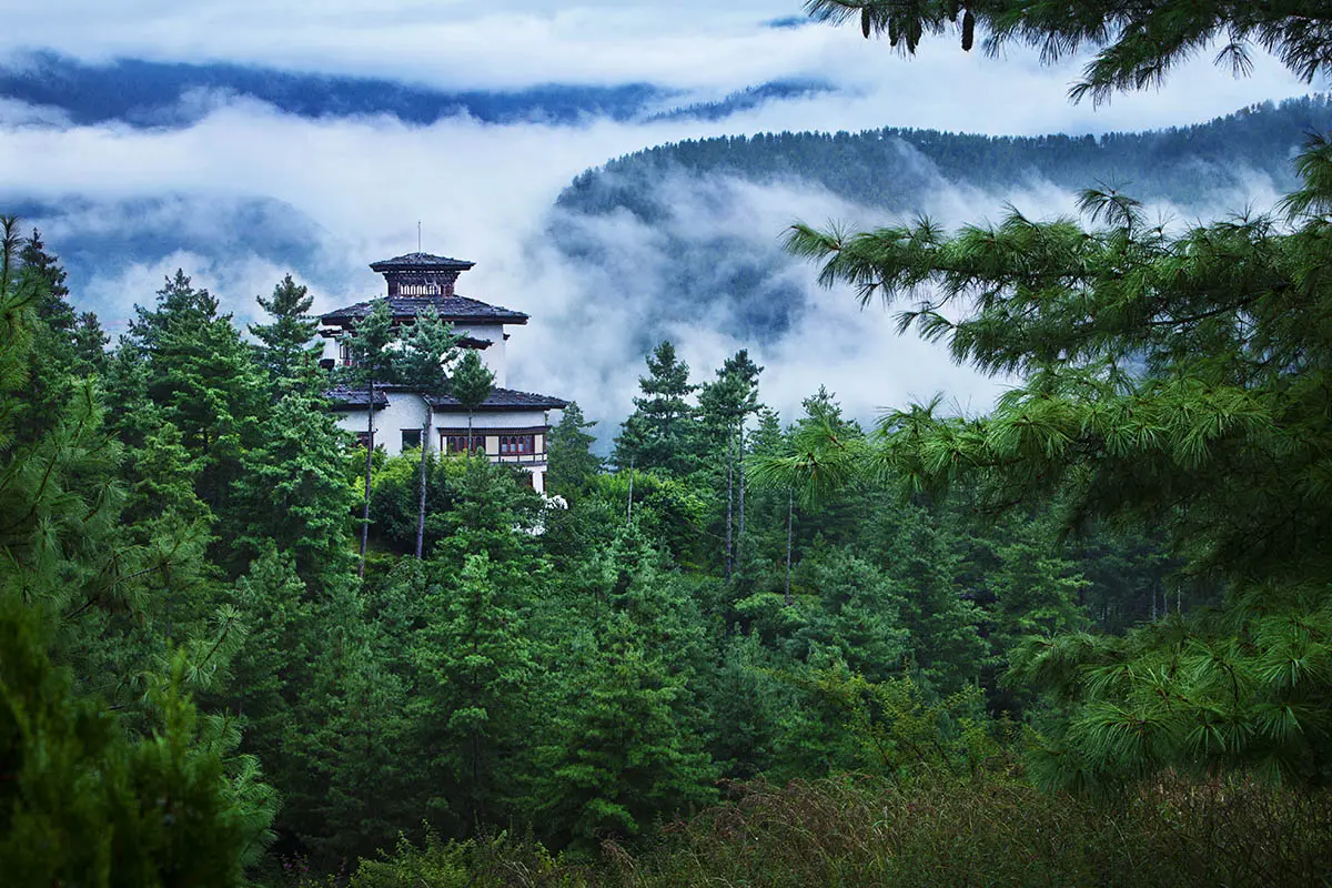 Top Hotels in Paro Valley, Bhutan Nature-Wildlife-in-Paro-Valley