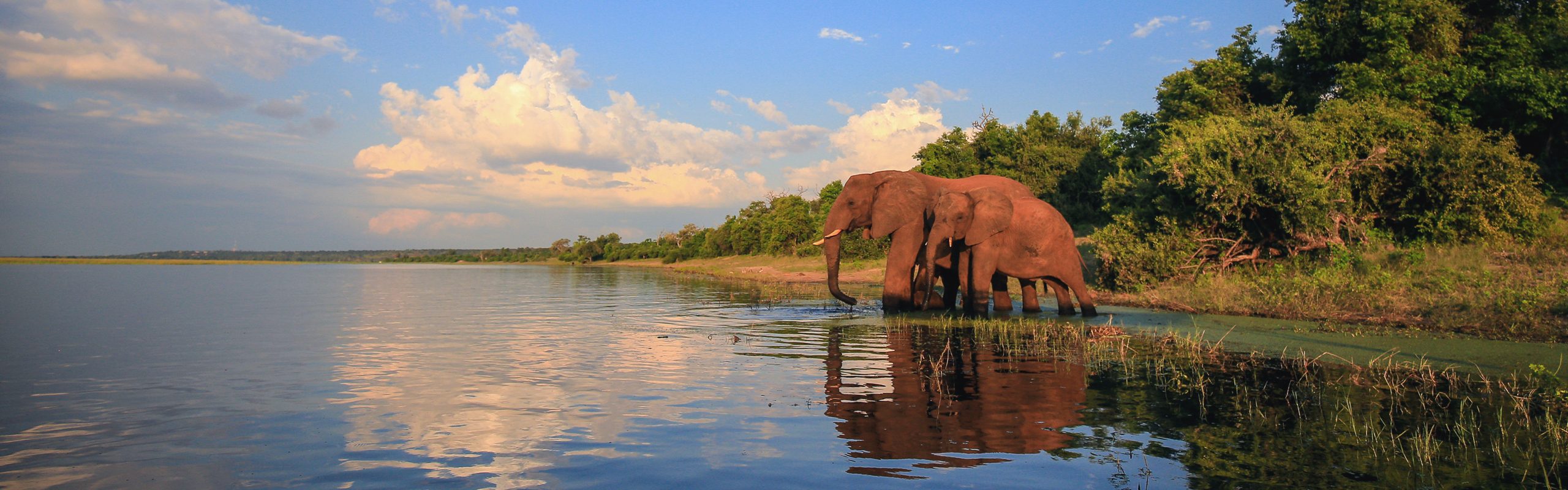 The-Riverine-Ecosystem-Kruger-National-Park