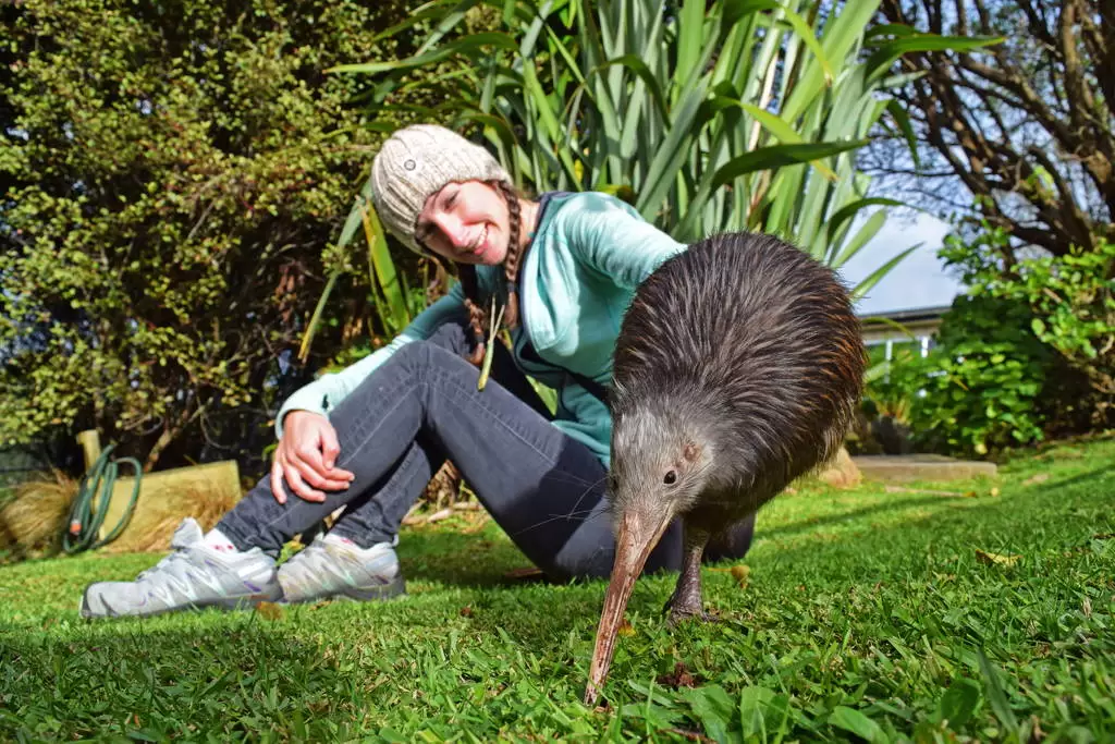 Wildlife-Encounters in Waikato