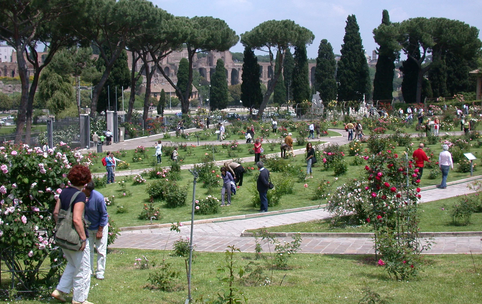 rome-rose-garden-Picturesque-rome-italy