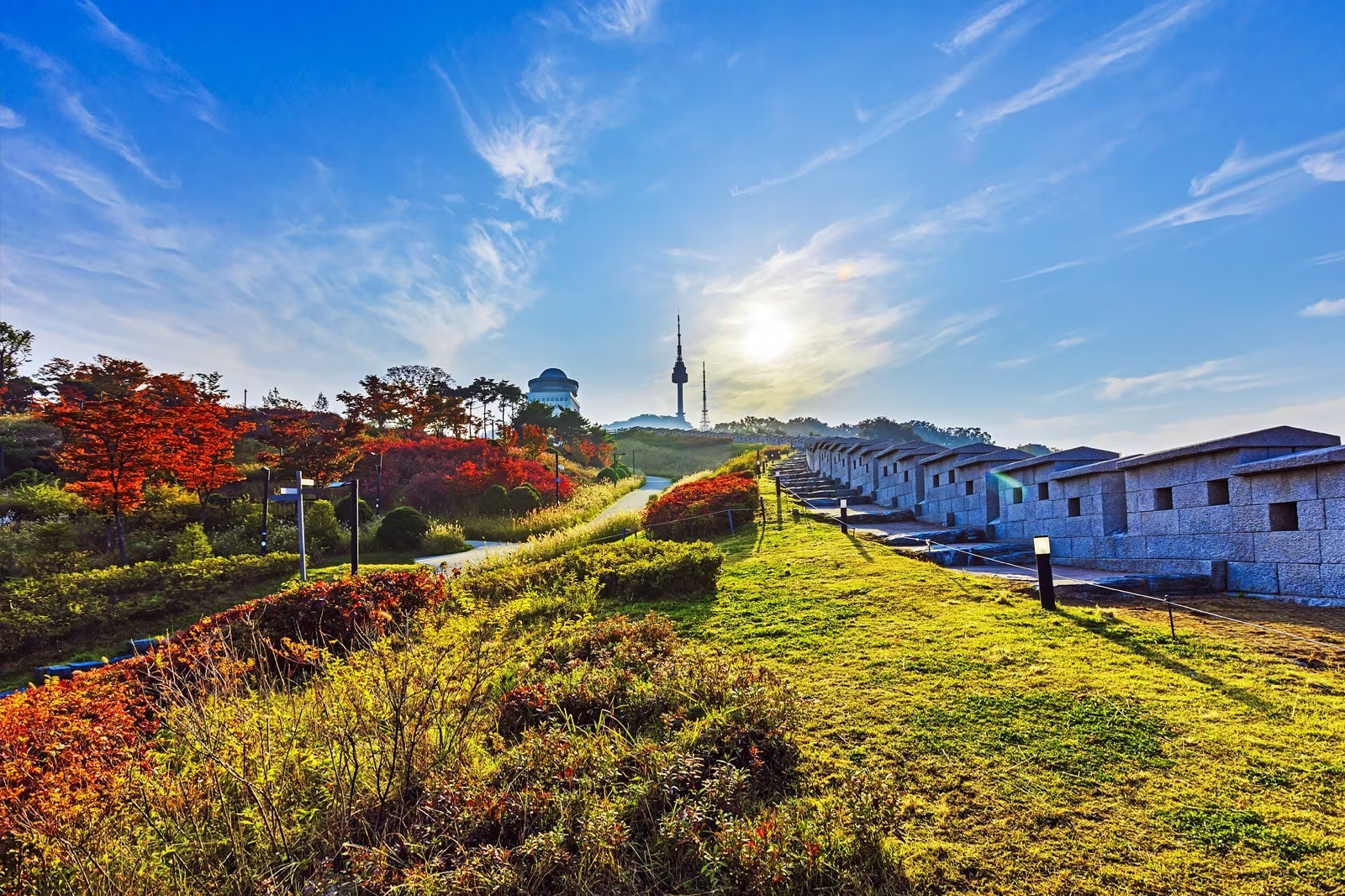 Nature-at-Namsan-Park