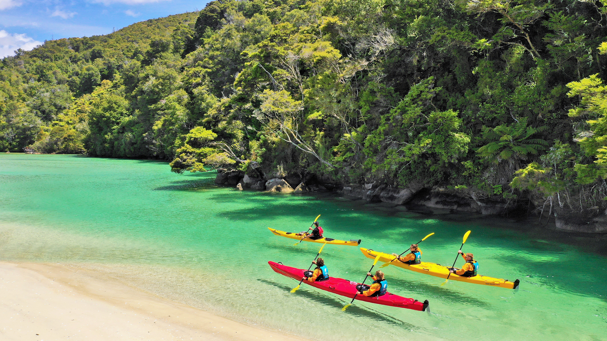 Abel-Tasman-National-Park-Best-Places-to-Visit-in-New-Zealand