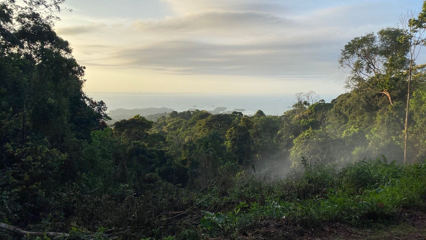 Brownsberg-Nature-Park tourist-area