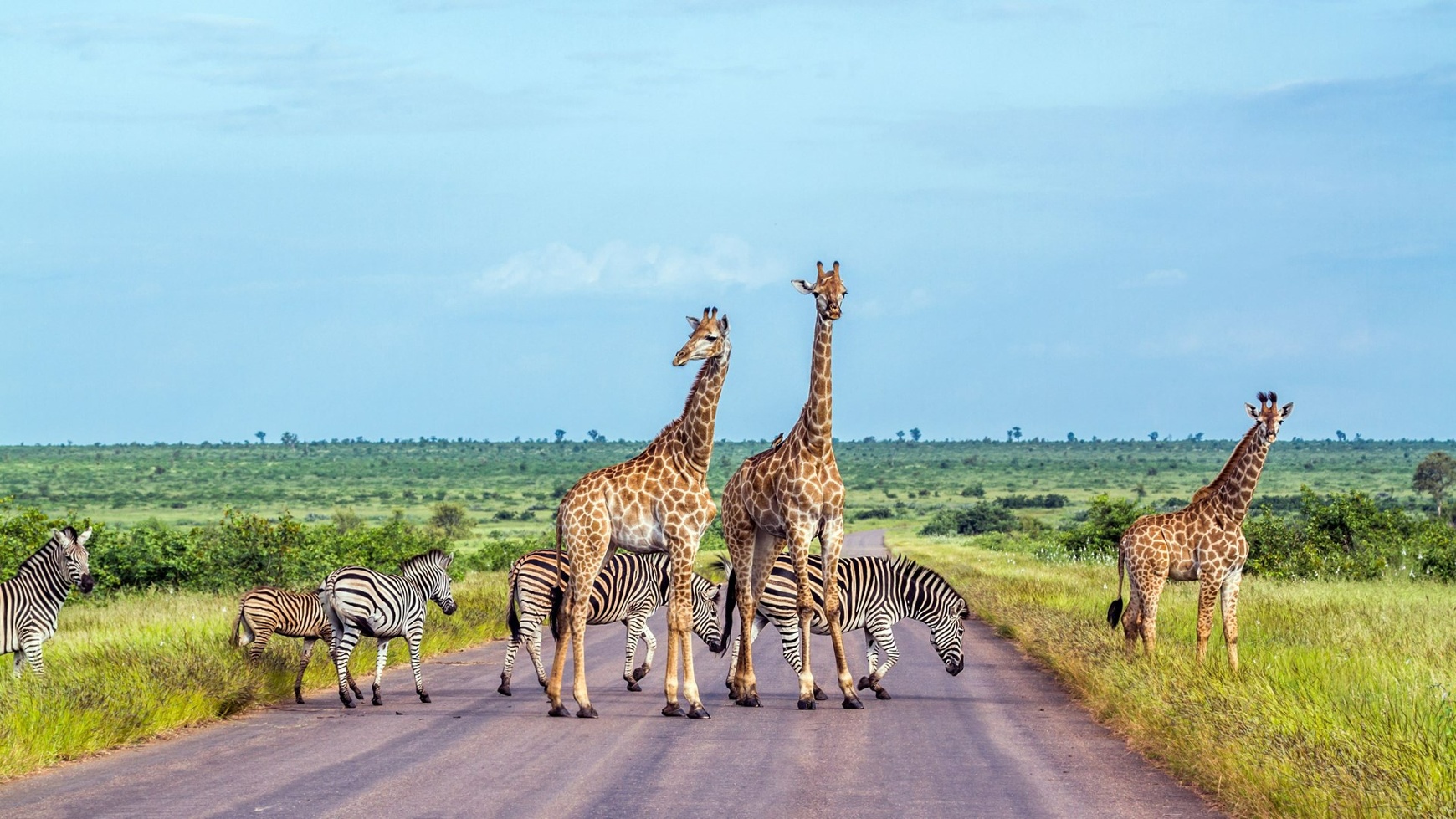 Best Places to Visit in South Africa Kruger-National-Park