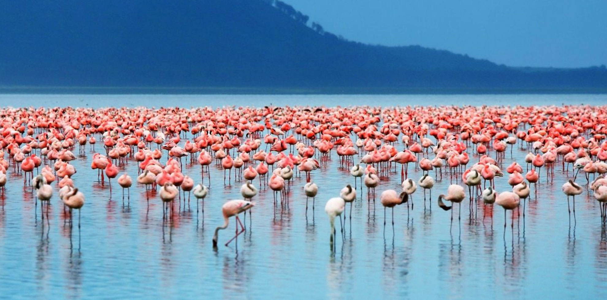 Best Places to Visit in Kenya Lake-Nakuru-National-Park