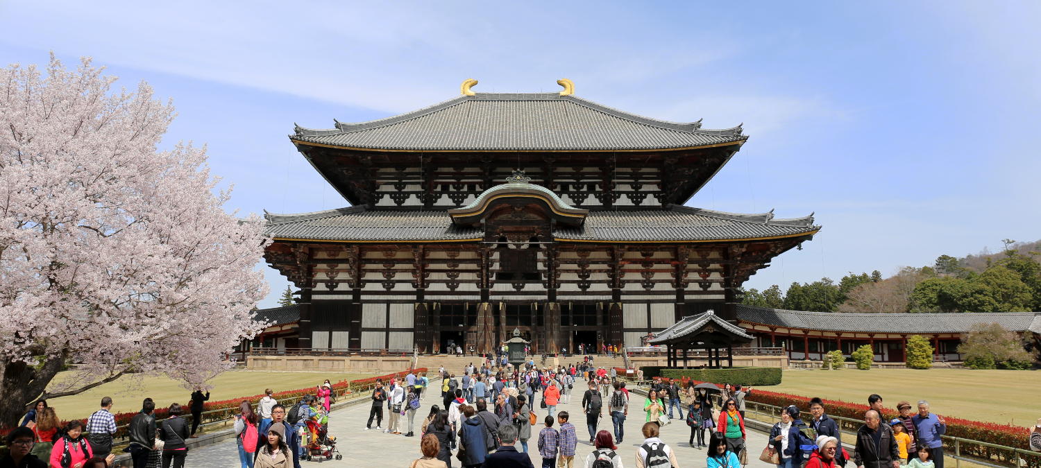 Best Places to Visit in Japan Nara