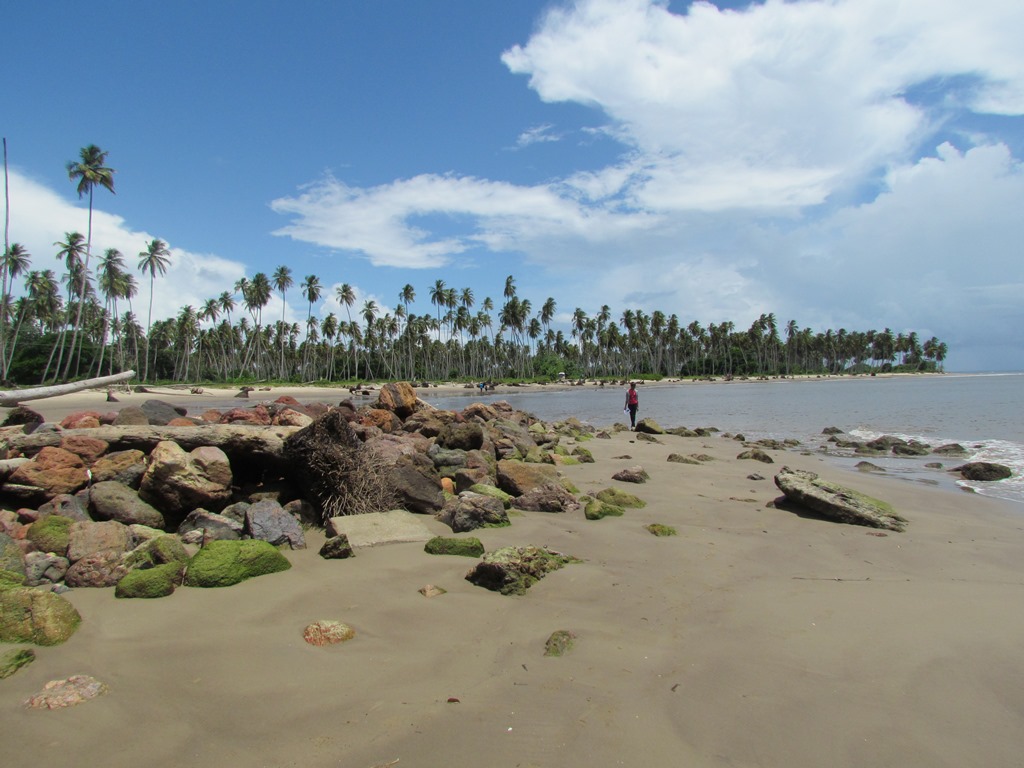 Best Places to Visit in Trinidad and Tobago Pointe-a-Pierre-Wild-Fowl-Trust