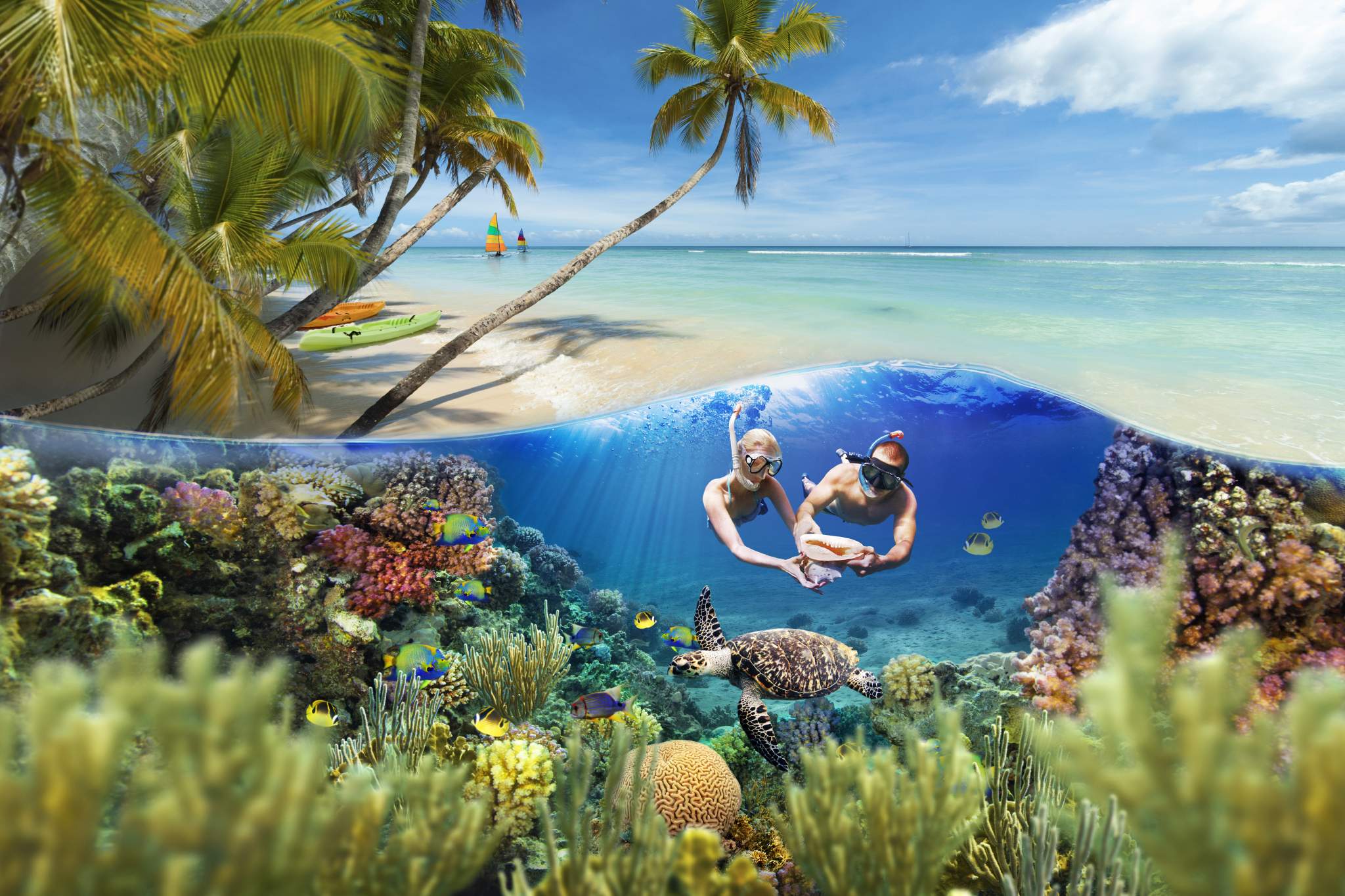 Best Places to Visit in Trinidad and Tobago Tobago