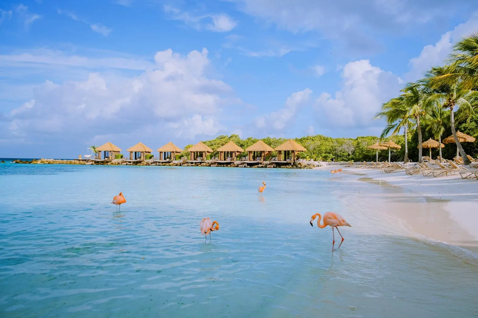 Best Tourist Destinations in the Caribbean Aruba