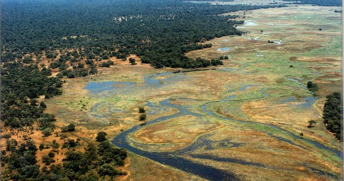 Bamingui-Bangoran-National-Park