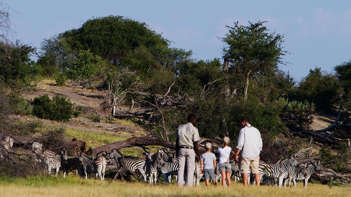 Makgadikgadi-Pans-National-Park