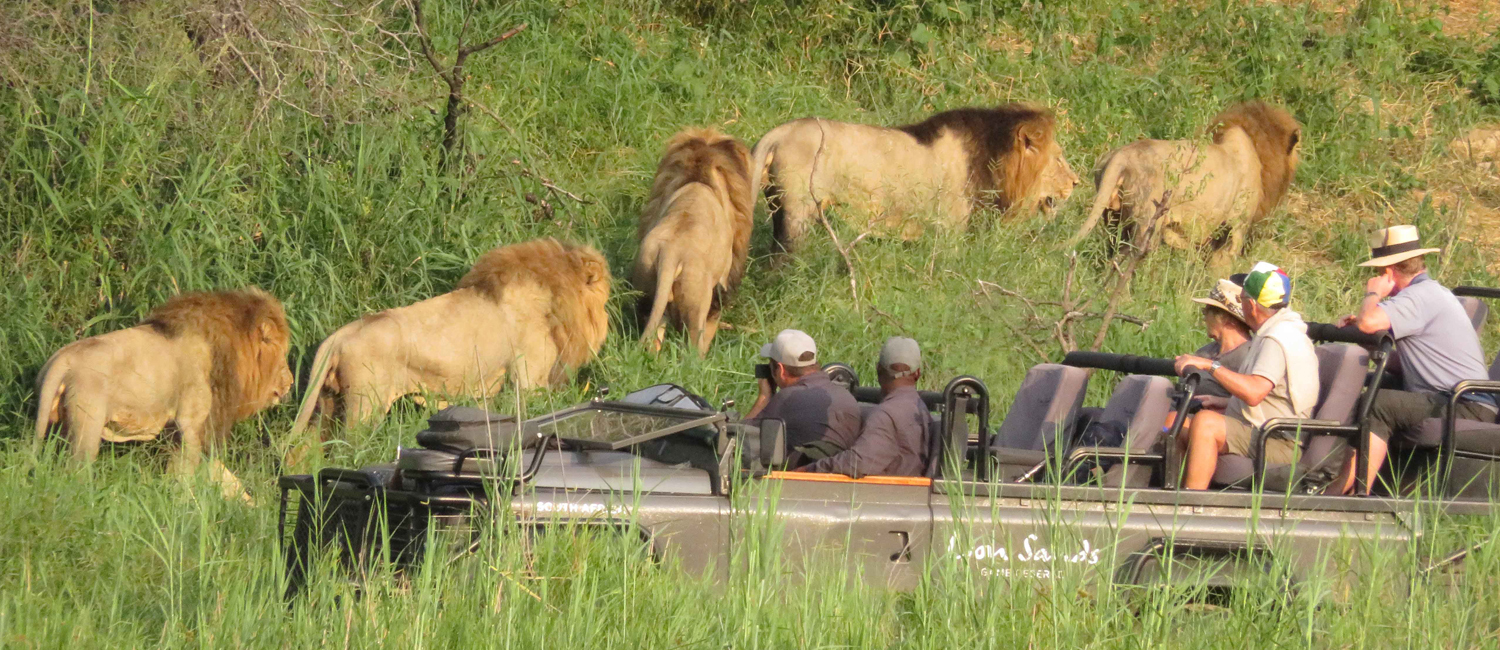Best Tourist Attractions in Burundi Ruvubu-National-Park-Best-Tourist-Attractions-in-Burundi