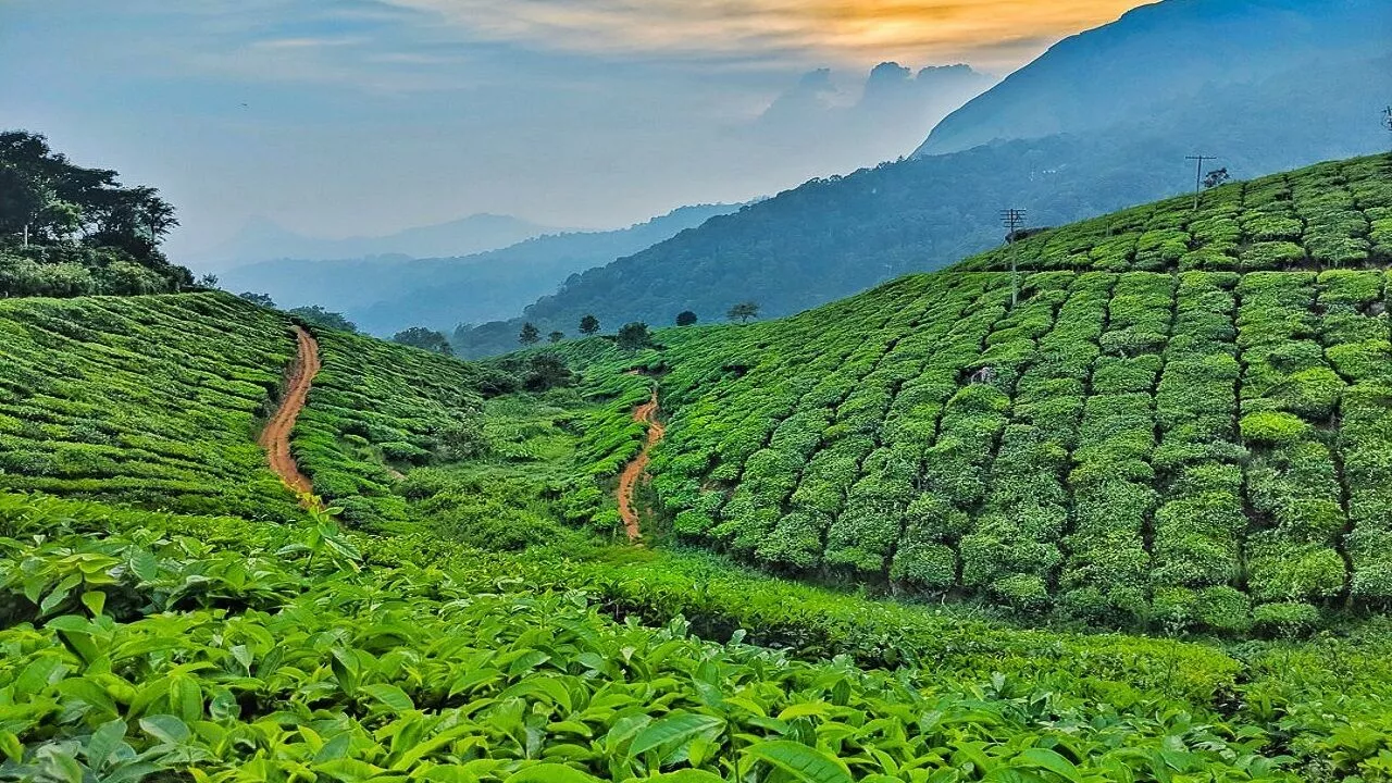 Best Tourist Attractions in Bangladesh Srimangal