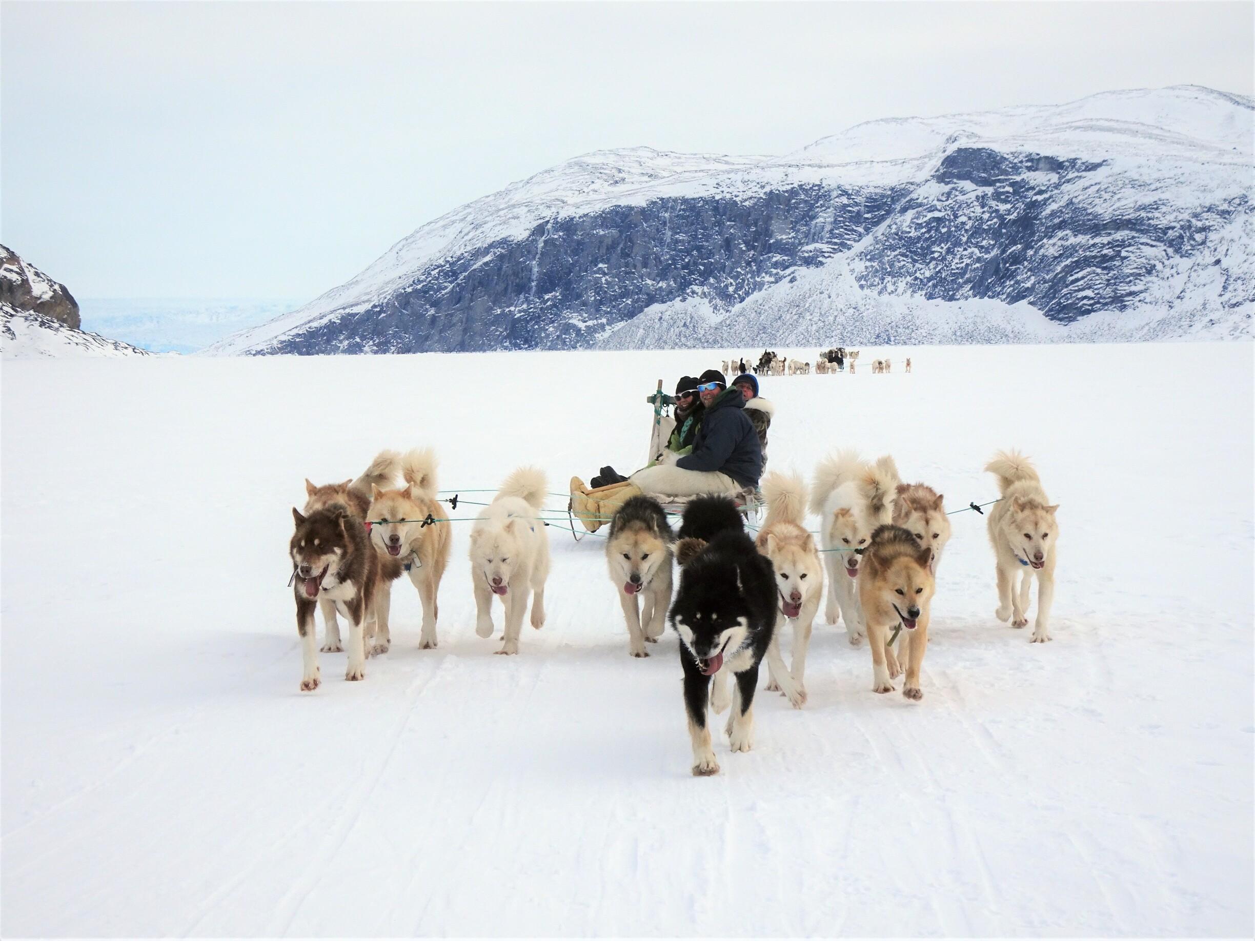 Dog-Sledding-and-Iceberg-Kayaking