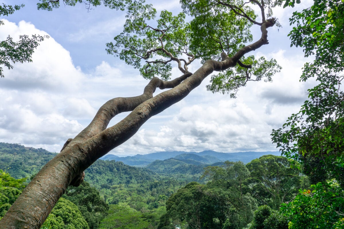 Best Tourist Attractions in Malaysia 2024 Kinabalu-National-Park