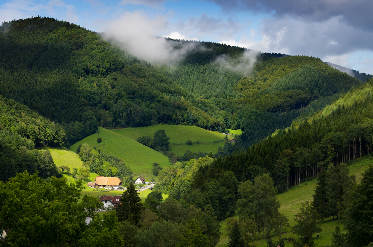 Black-Forest-Germany