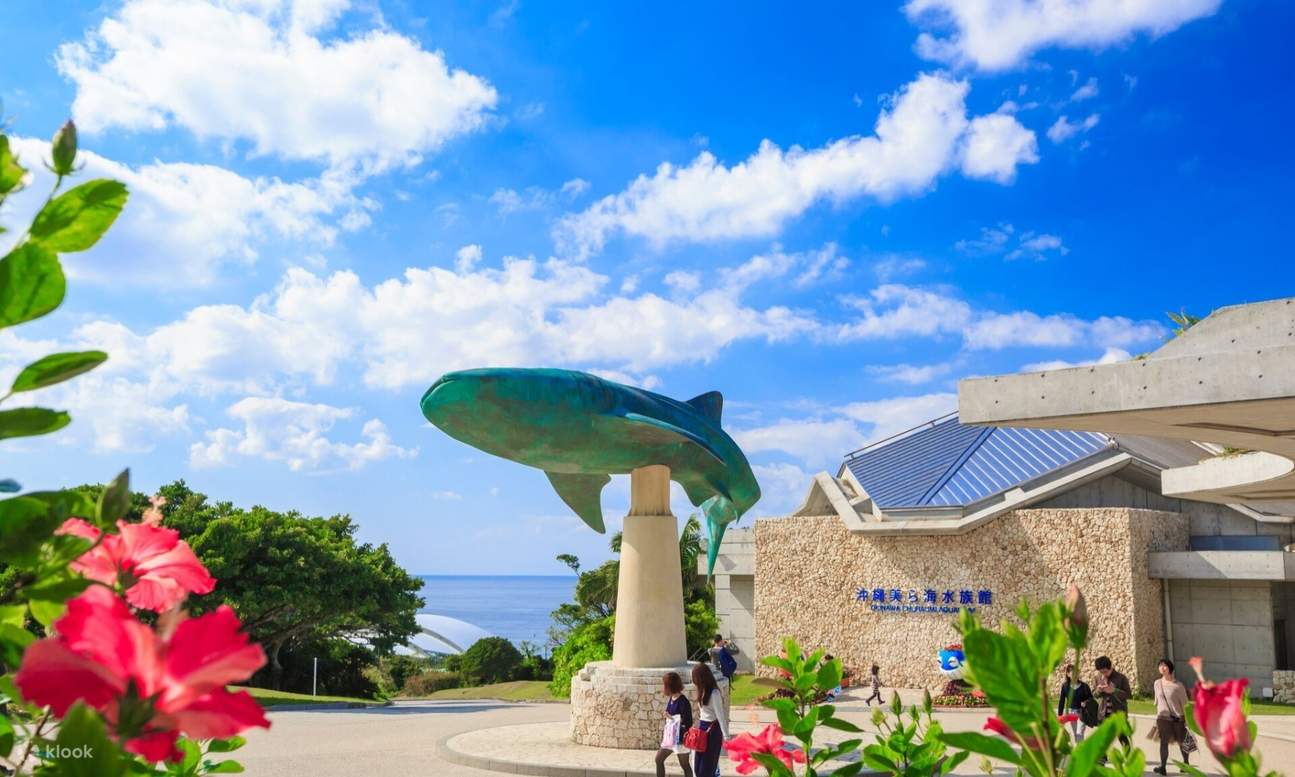 Explore Okinawa Churashima Aquarium