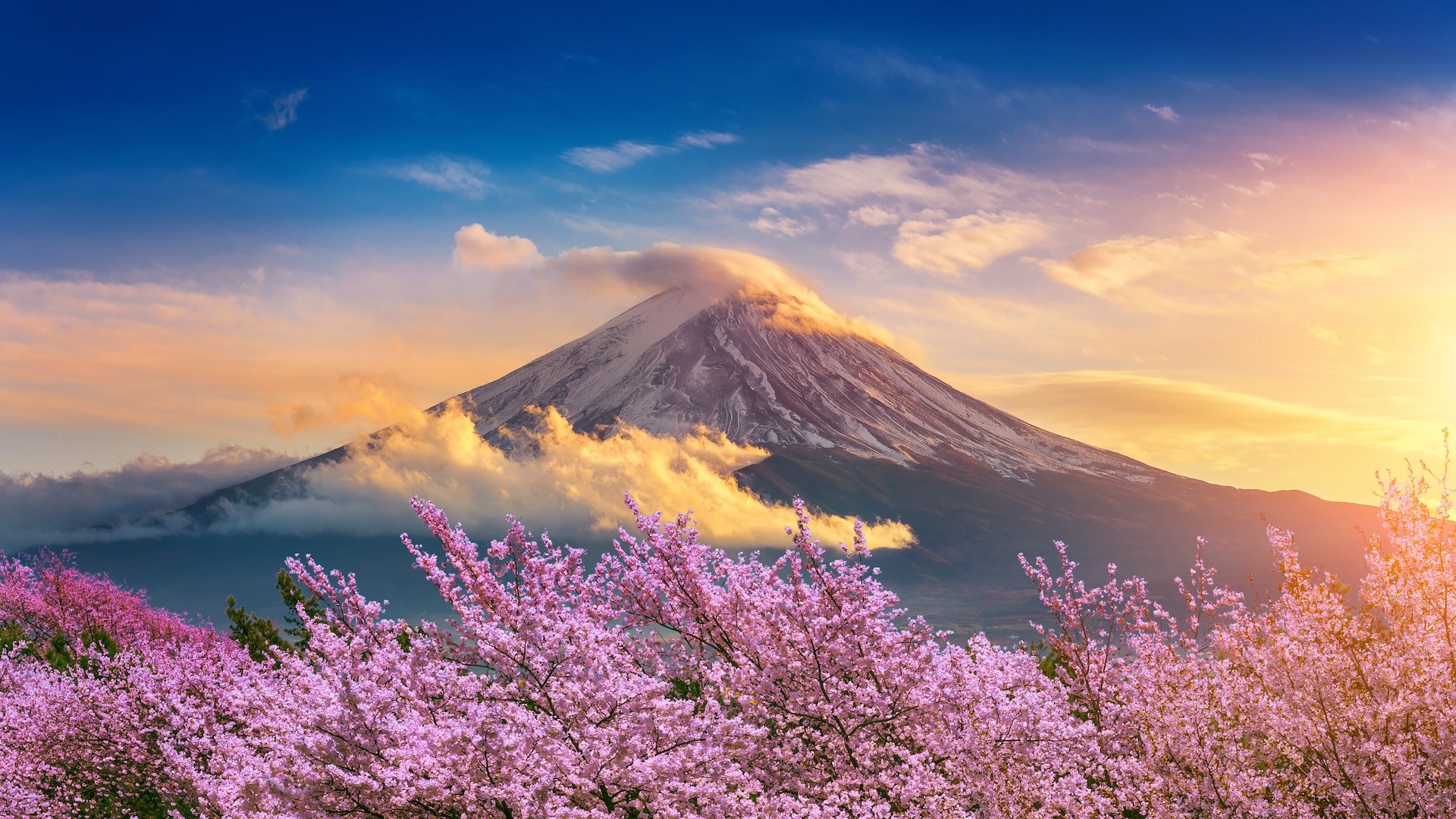 Best Tourist Attractions in Japan Mount Fuji