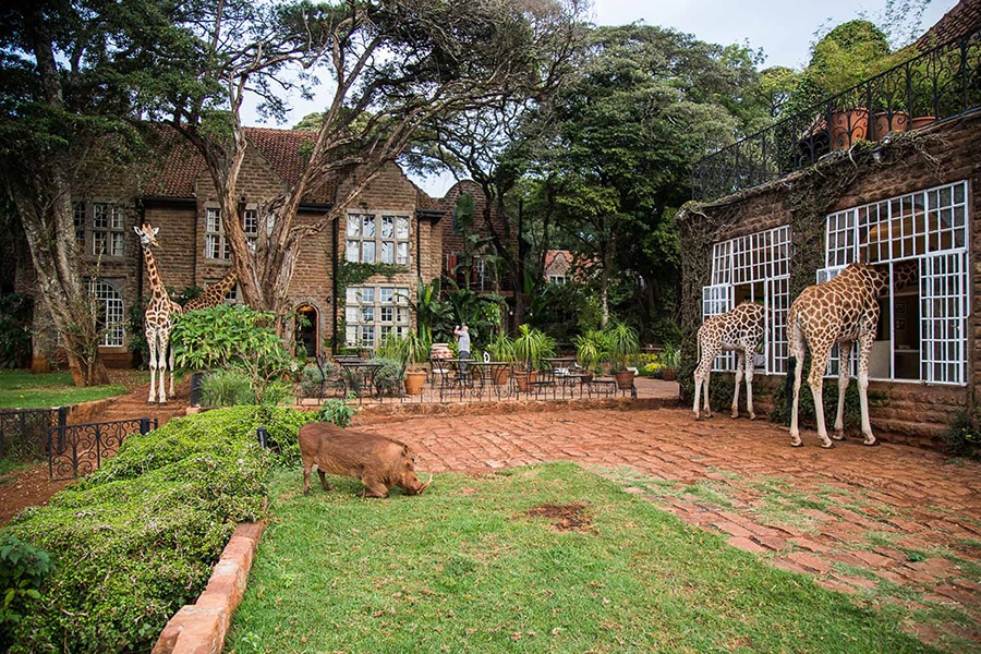 10 Hotels you simply must experience before you kick the bucket Giraffe Manor, Kenya Hotels